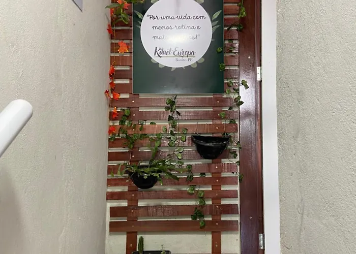 Kitnet Mobiliado Em Bonito